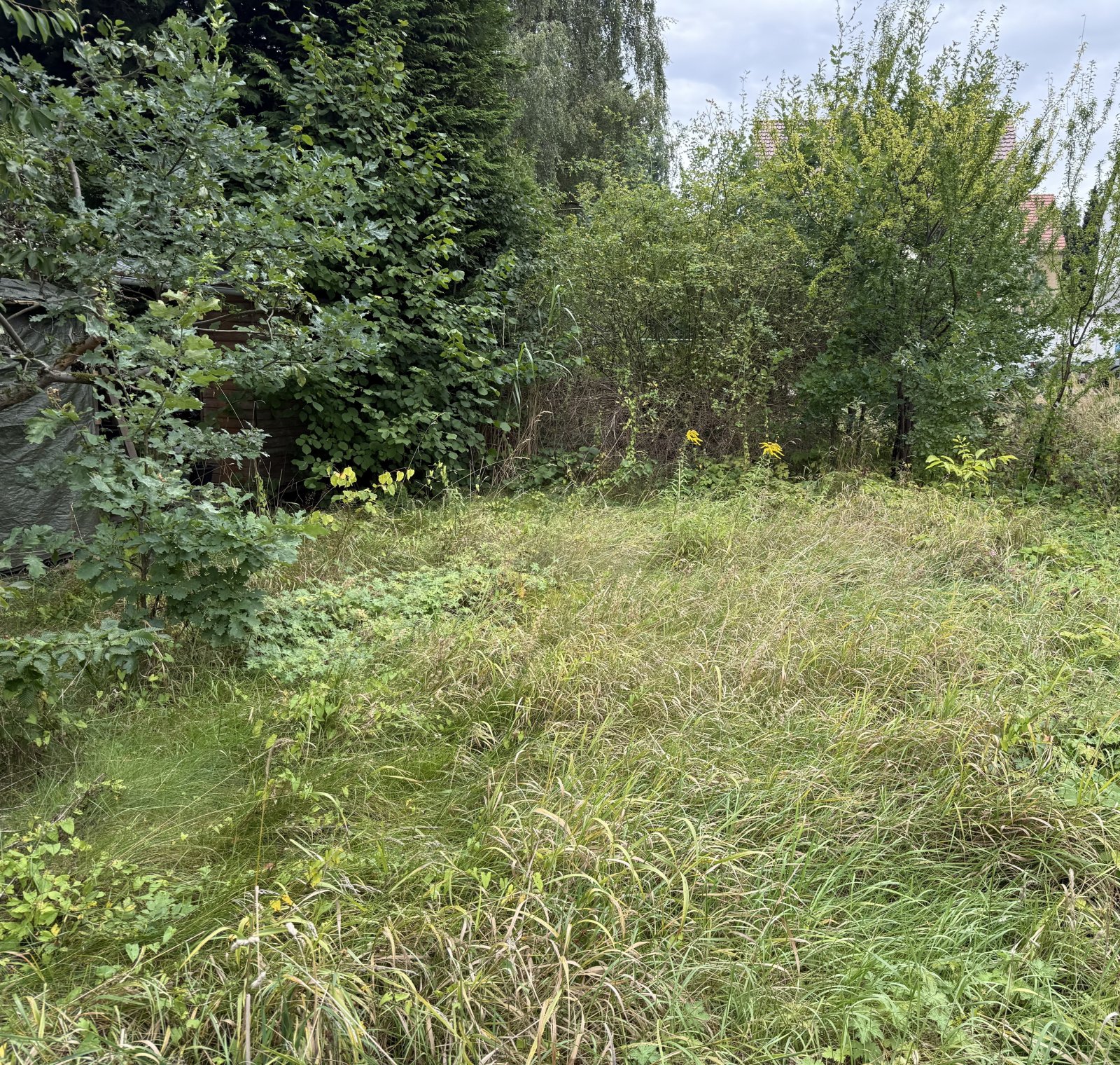 Wir haben ein schönes neues Grundstück zur Bebauung mit einem Bien-Zenker Haus!!!