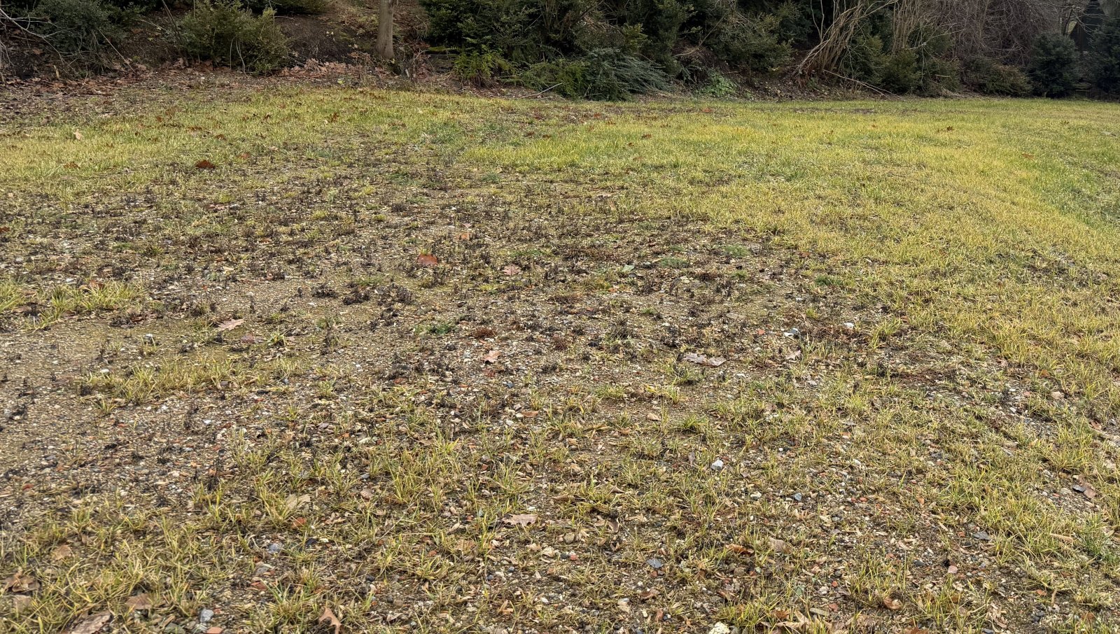 Großhartmannsdorf: Baugrundstück in Großhartmannsdorf zu verkaufen Großhartmannsdorf: Baugrundstück in Großhartmannsdorf zu verkaufen
