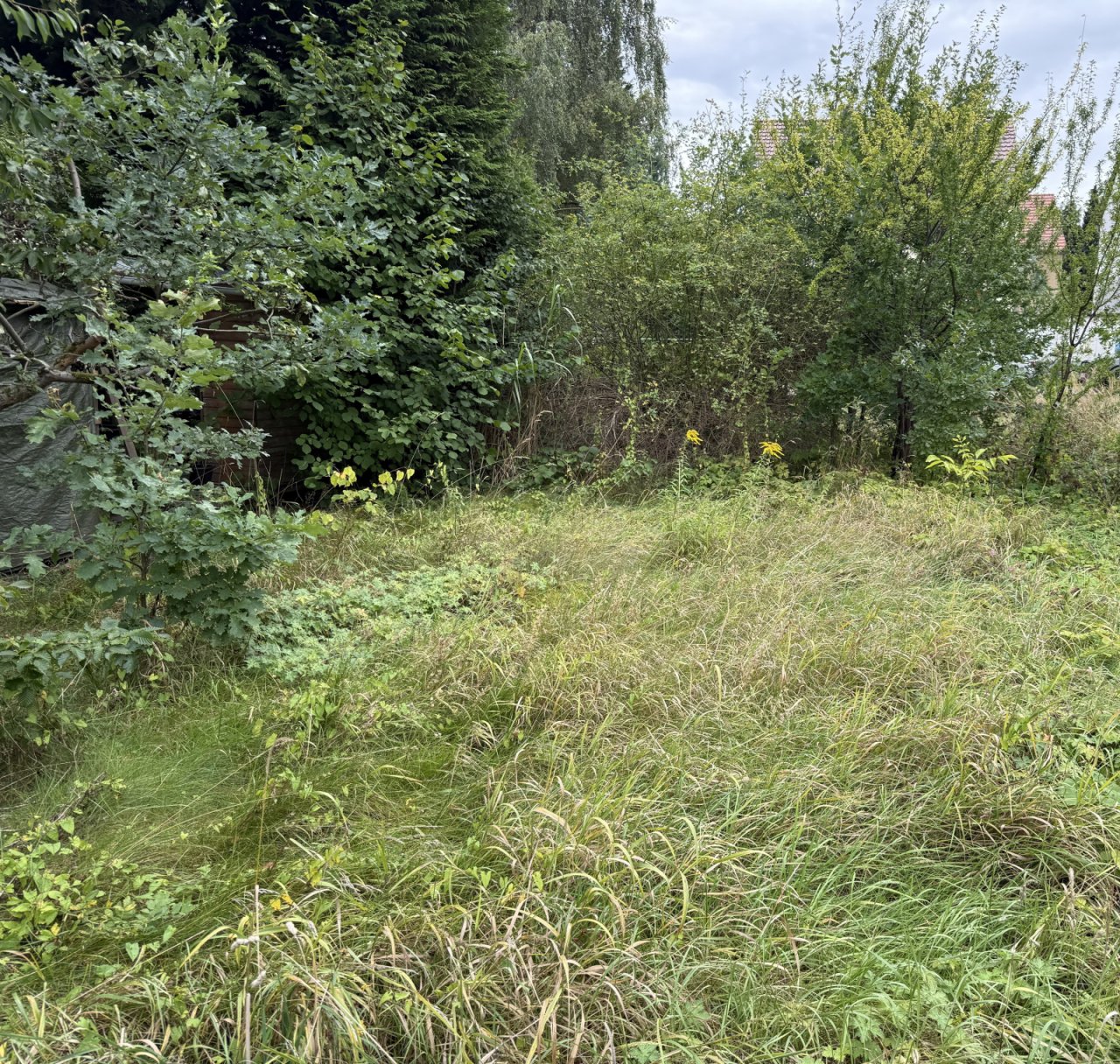Blick am Grundstück Blick am Grundstück